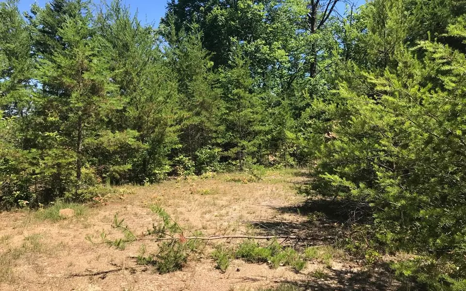 Lot 10 Beach Mountain, Brasstown, NC 28902