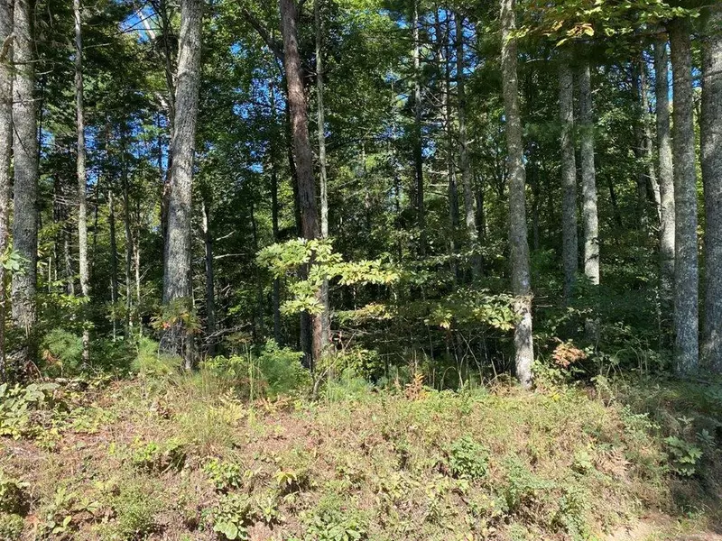 Lot 60A Bear Paw Church Rd., Murphy, NC 28906