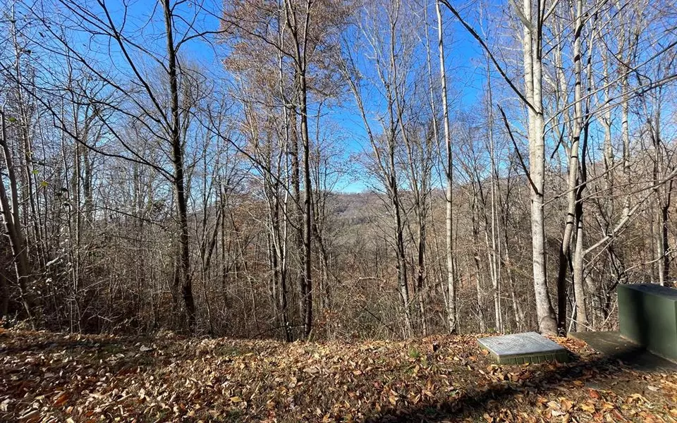 Lot 36M Mountain Harbour, Hayesville, NC 28904