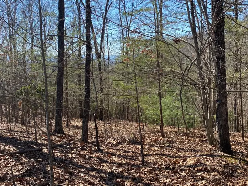 Lot 81 Edgewood Drive, Murphy, NC 28906