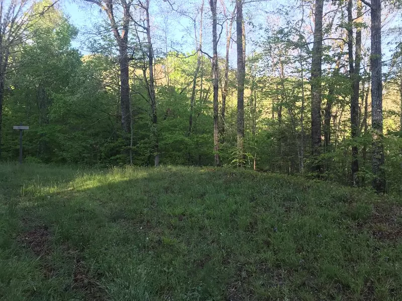 3.16 Ac Lake Shore Drive, Murphy, NC 28906