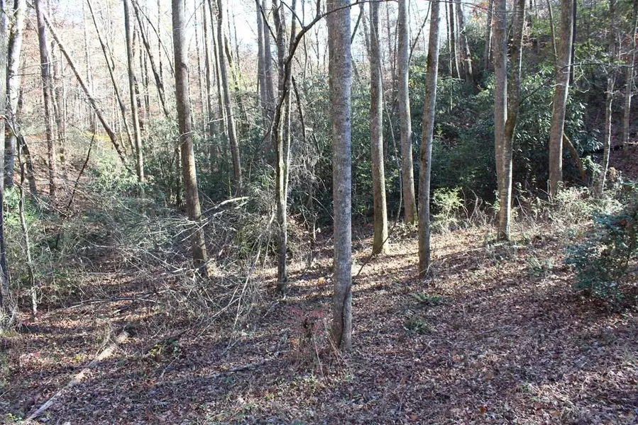 Lot A Tanglewood Road, Murphy, NC 28906