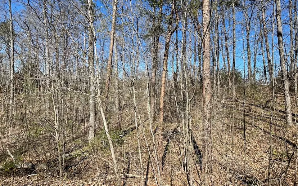 Lot 22 Sutton Cove, Hiawassee, GA 30546