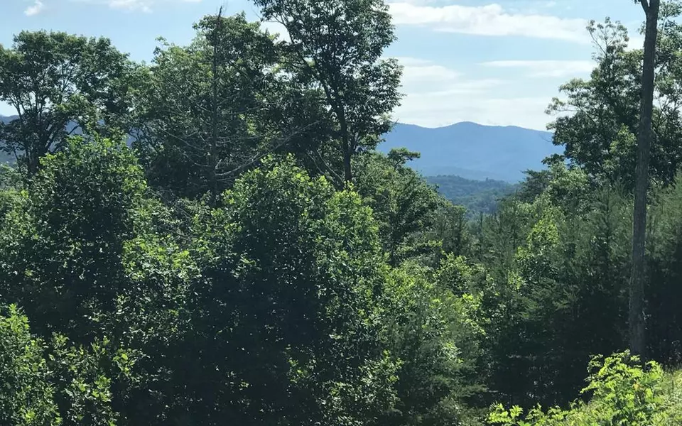 Lot 11 Brown Haven Heights, Hiawassee, GA 30546