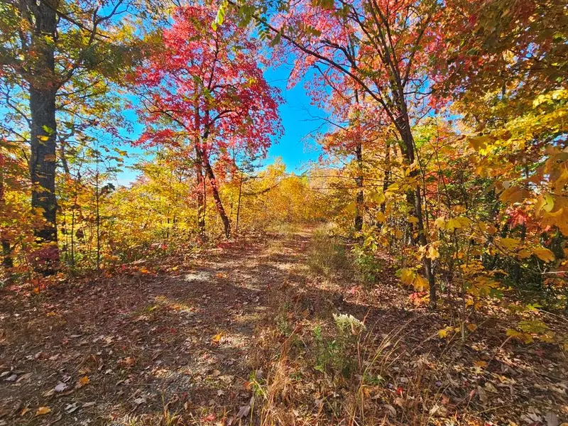 Lot 2 Valley View Heights Ln, Andrews, NC 28901