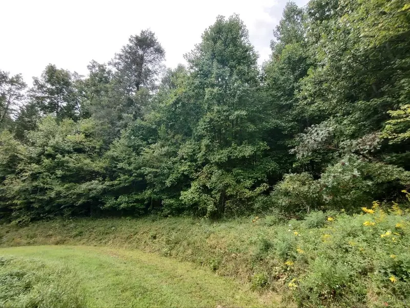 Lot 1-7 Majestic Mountain Trl, Murphy, NC 28906