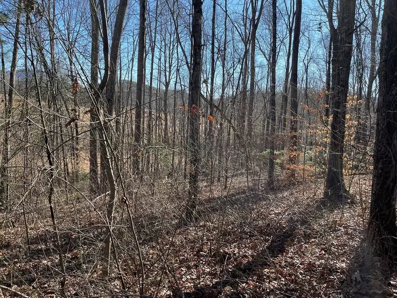 Lot #12E The Woodlands, Hayesville, NC 28904