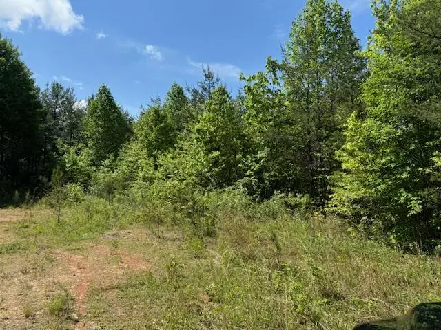 Lot 13 Paradise Mountain, Marble, NC 28905