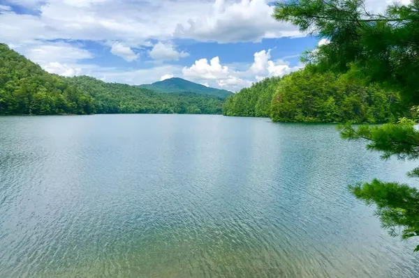 Murphy, NC 28906,000 Wilderness Lake Circle