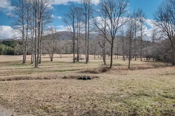 Brasstown, NC 28902,00 Scott Free