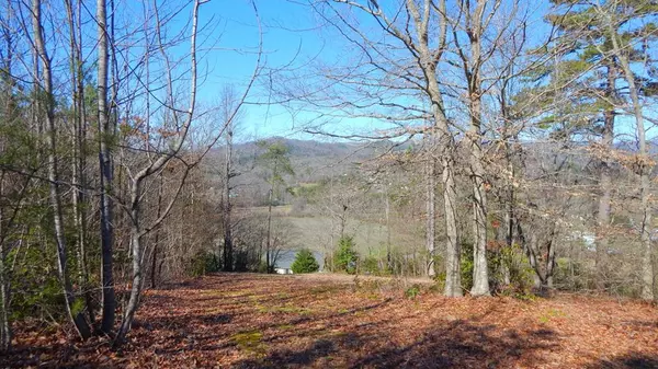 Warne, NC 28909,Lot 27 Hillside Drive