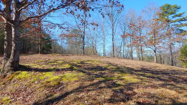 Warne, NC 28909,Lot 27 Hillside Drive