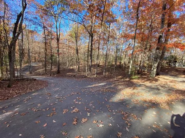 Brasstown, NC 28902,lot 117 Weber Way Cir