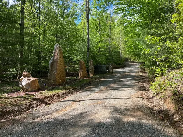 Marble, NC 28905,13 Acres Loop Lane