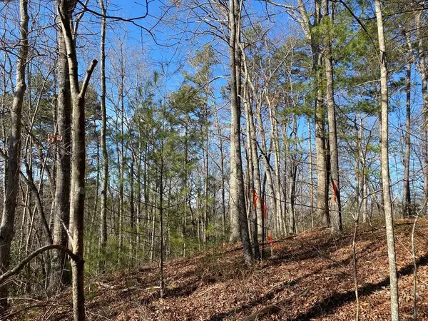 Murphy, NC 28906,Lot 8 Piping Rock Dr.