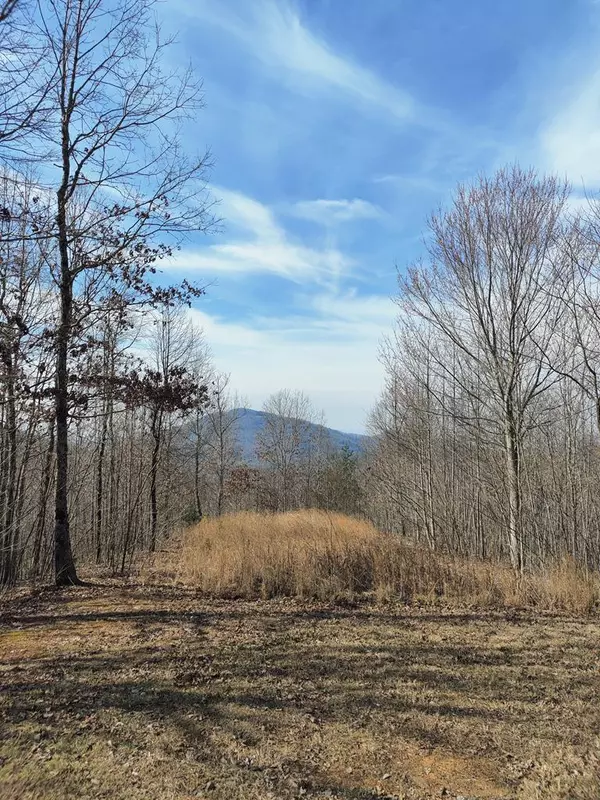 Murphy, NC 28906,Lot 69 Collins Court