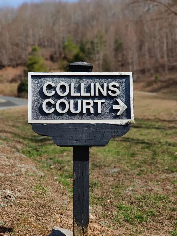 Murphy, NC 28906,Lot 69 Collins Court