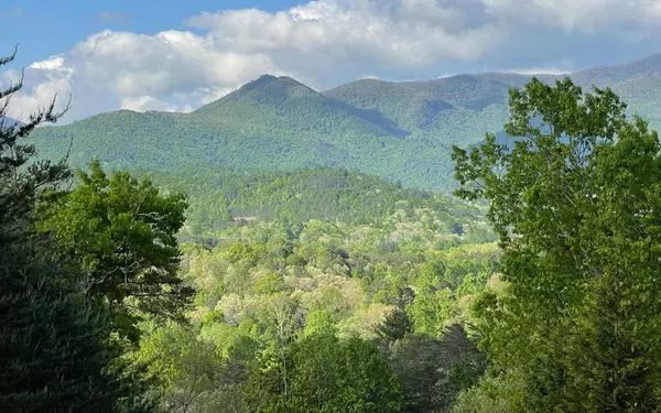 Hiawassee, GA 30546,Lot 14 Brown Heights Road