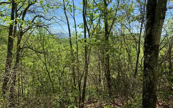 Lot 23A Winchester Cove, Hayesville, NC 28904