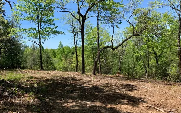 Hayesville, NC 28904,Lot 26 Winchester Cove