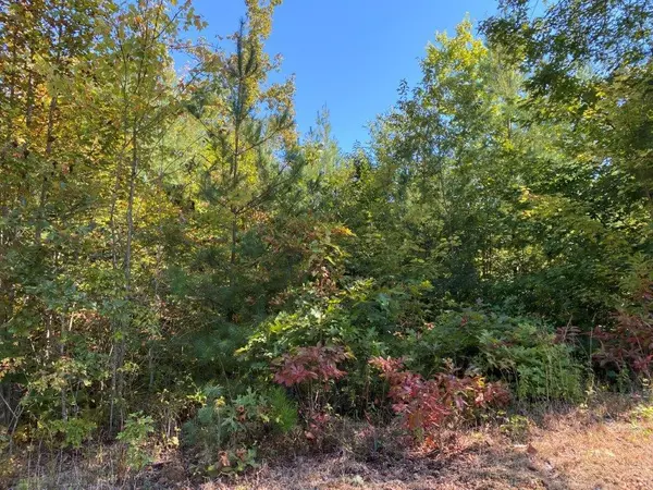 Murphy, NC 28906,Lot 13 Hideaway Ridge Dr.