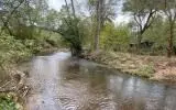 Brasstown, NC 28902,Lot 6 Fern Lane