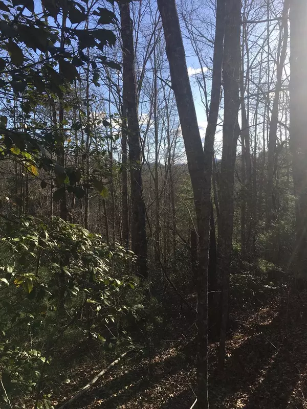 Robbinsville, NC 28771,Lot 31 Springwood