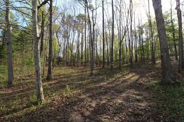 Murphy, NC 28906,Lot 4 Deer Pasture Lane