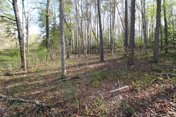 Murphy, NC 28906,Lot 4 Deer Pasture Lane