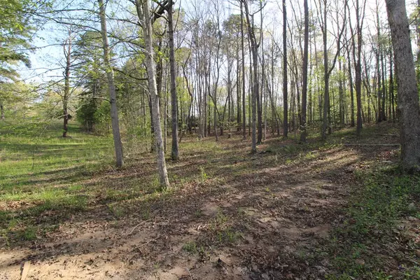 Murphy, NC 28906,Lot 4 Deer Pasture Lane