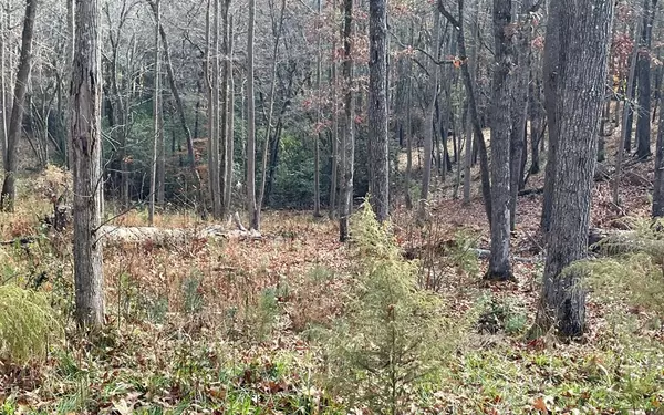 Blairsville, GA 30512,Lot 166 Highland Park