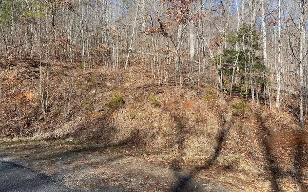 Hiawassee, GA 30546,Lot 14 Shallow Creek