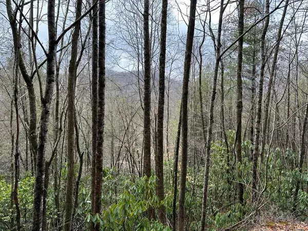 Topton, NC 28781,Lot 16 Stillwind Dr