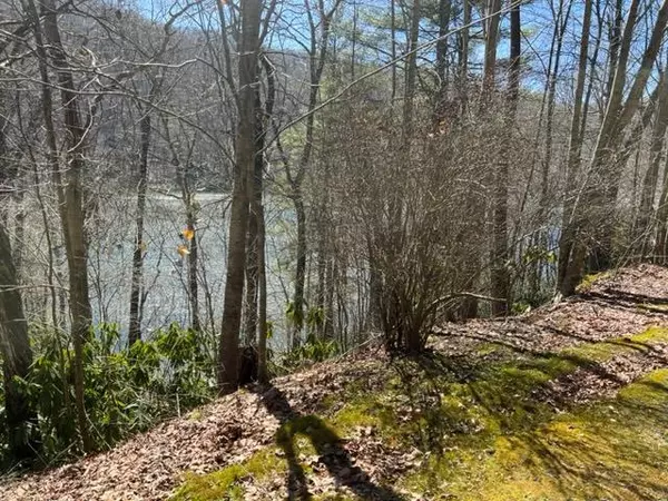 lot 42 Little Chogas Place,  Topton,  NC 28781