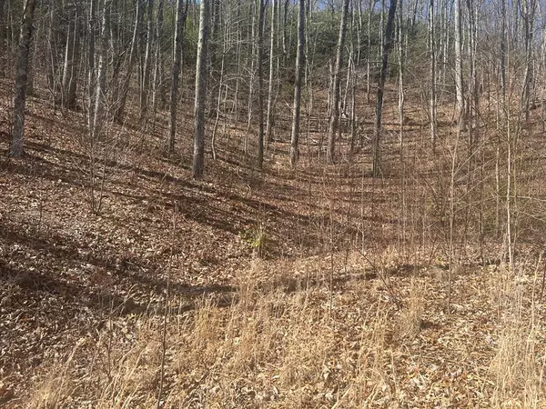 Bryson City, NC 28713,Lot 94 Towalgia Dr