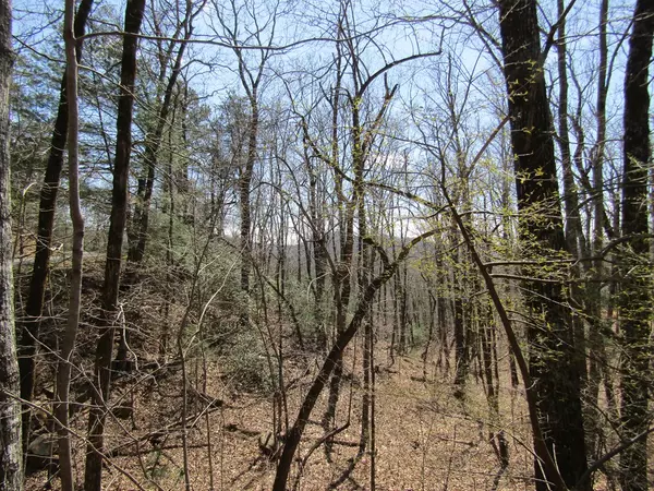 Hayesville, NC 28904,Lot 27 Mission Ridge