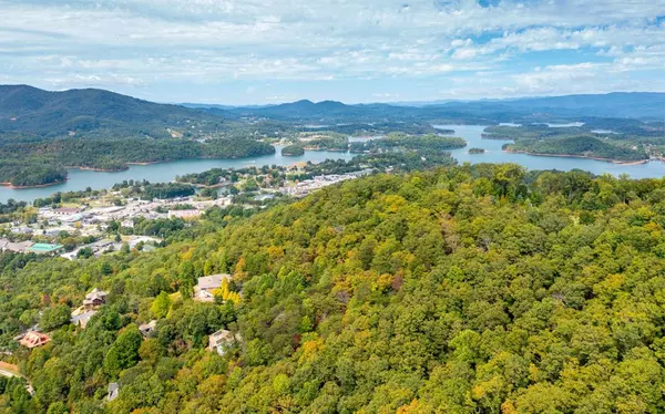 Hiawassee, GA 30546,14+ Ac Main Street