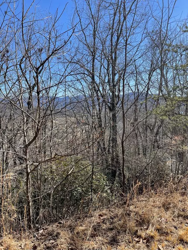 Hayesville, NC 28904,Lot #45J Knollwood