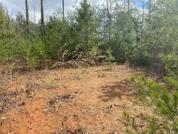 Lot 17 Appalachian Estates Road,  Murphy,  NC 28906