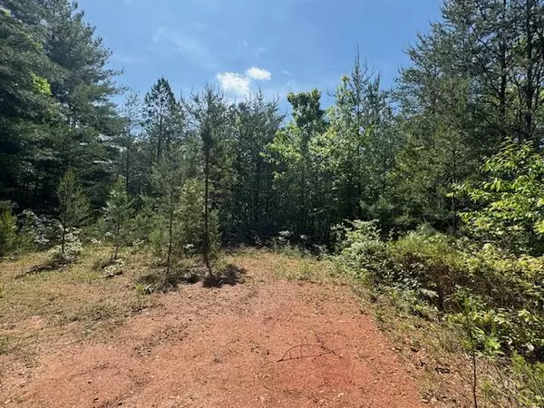 Lot 9 Paradise Mountain, Marble, NC 28905