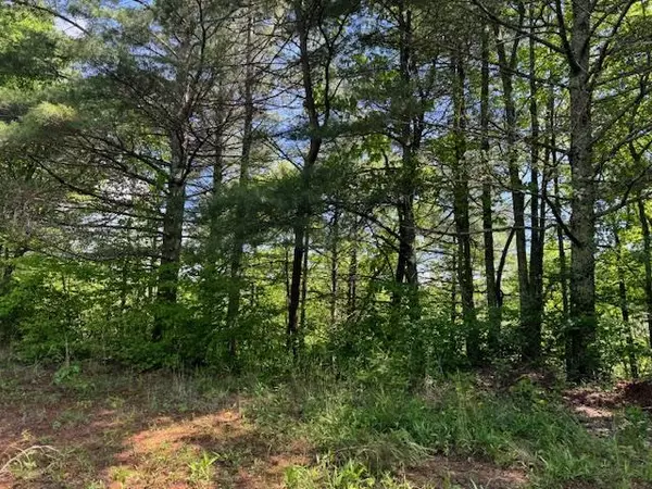 Marble, NC 28905,Lot 21 Paradise Mountain