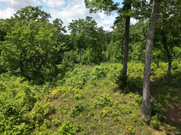 Murphy, NC 28906,Lot 29 Paw Paw Trail