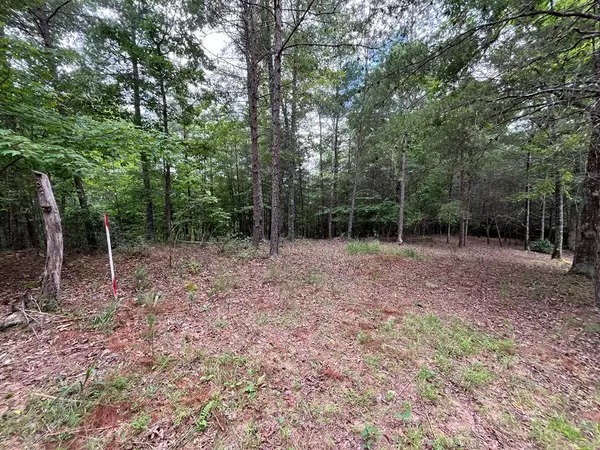 Murphy, NC 28906,Lot 81 Short Oak Run