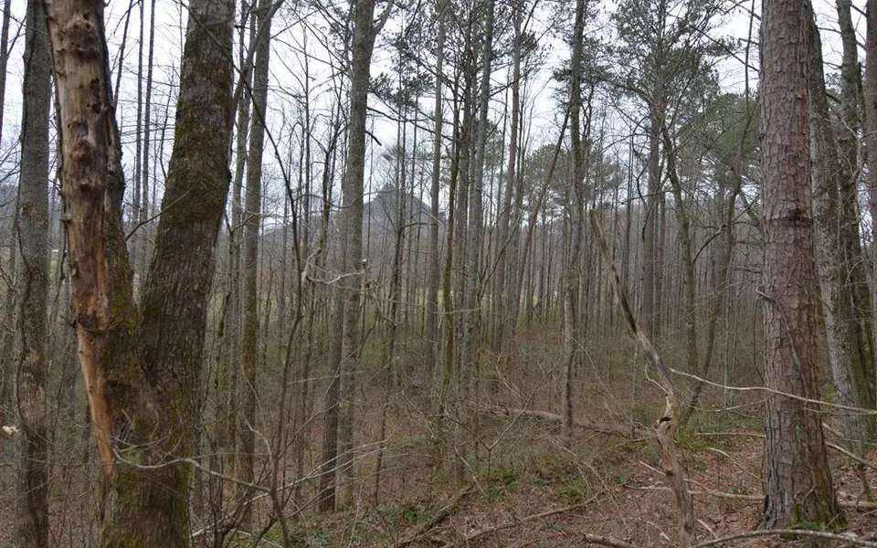 Lot 13 Bell Creek Estates, Hiawassee, GA 30546