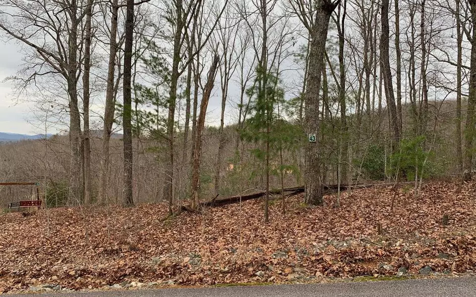 Lot 43 Chicory Drive, Blairsville, GA 30512