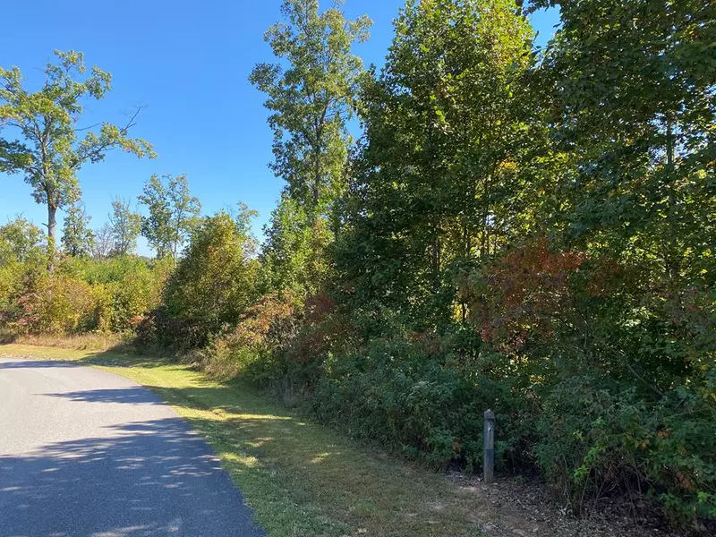 Lot 55 Paw Paw Trl., Murphy, NC 28906