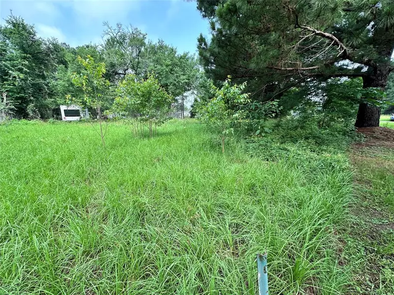 Lot 3 Cypress Avenue, Streetman, TX 75859