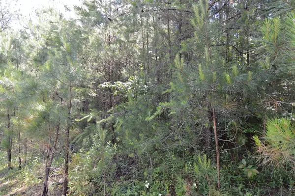 Blairsville, GA 30512,Lot 14 Loftis Mountain