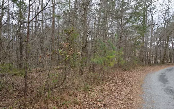 Hiawassee, GA 30546,Lot 13 Bell Creek Estates