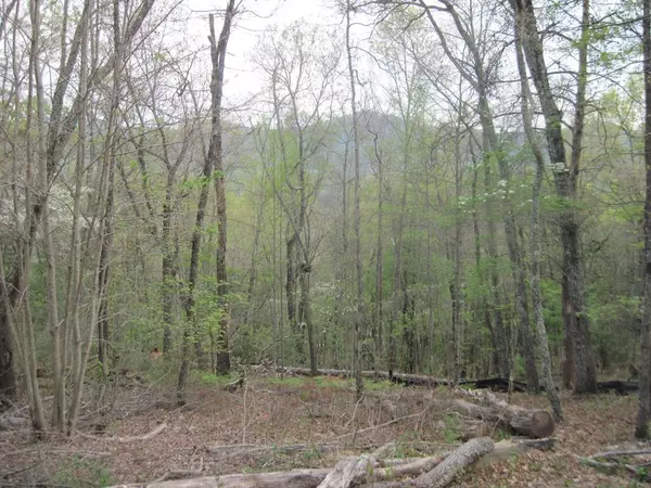 Blairsville, GA 30512,Lot 19 Poplar Ridge Drive